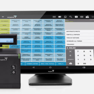 WyCash 3100